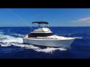 Camelot Kona Fishing Charters
